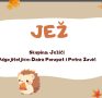 PV SV.LOVREČ JASLICE: Boc, boc iglicama